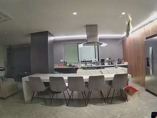 voyeurcam-casa-salsa-fishtank