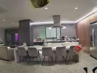 voyeurcam-casa-salsa-fishtank