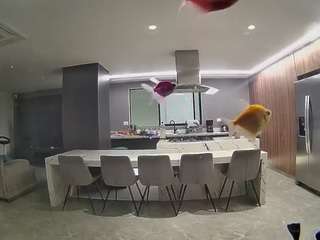 voyeurcam-casa-salsa-fishtank