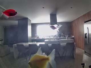 voyeurcam-casa-salsa-fishtank