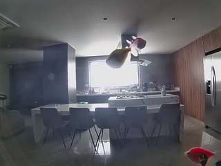 voyeurcam-casa-salsa-fishtank