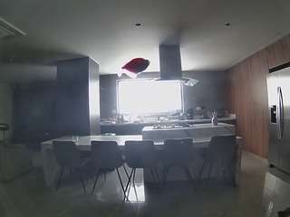 voyeurcam-casa-salsa-fishtank