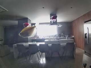 voyeurcam-casa-salsa-fishtank