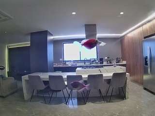 voyeurcam-casa-salsa-fishtank