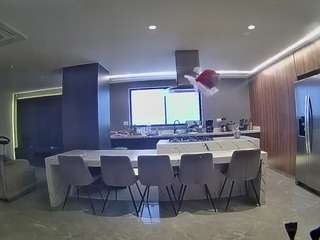 voyeurcam-casa-salsa-fishtank