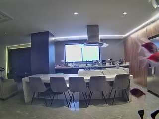voyeurcam-casa-salsa-fishtank