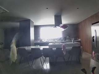 voyeurcam-casa-salsa-fishtank