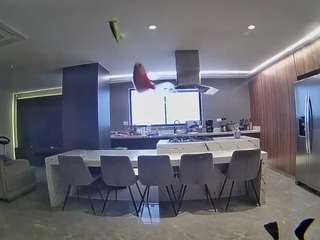 voyeurcam-casa-salsa-fishtank