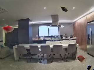 voyeurcam-casa-salsa-fishtank