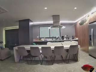 voyeurcam-casa-salsa-fishtank