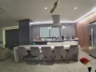 voyeurcam-casa-salsa-fishtank
