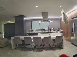 voyeurcam-casa-salsa-fishtank