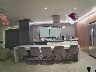 voyeurcam-casa-salsa-fishtank