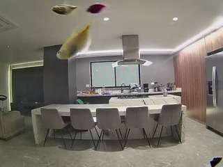 voyeurcam-casa-salsa-fishtank