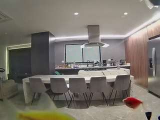 voyeurcam-casa-salsa-fishtank