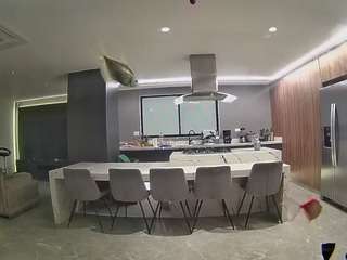 voyeurcam-casa-salsa-fishtank