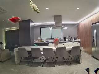 voyeurcam-casa-salsa-fishtank