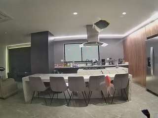 voyeurcam-casa-salsa-fishtank