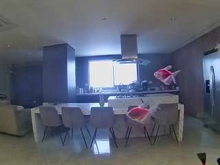 voyeurcam-casa-s... Live Webcam on CamSoda