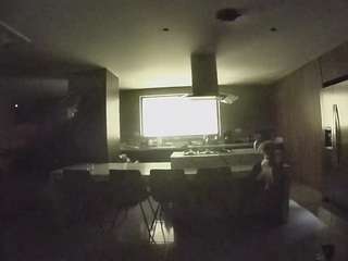 voyeurcam-casa-salsa-fishtank