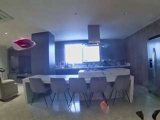 voyeurcam-casa-salsa-fishtank