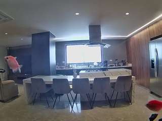 voyeurcam-casa-salsa-fishtank