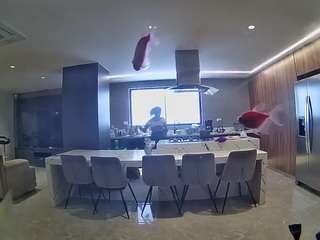 voyeurcam-casa-salsa-fishtank