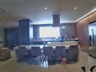 voyeurcam-casa-salsa-fishtank