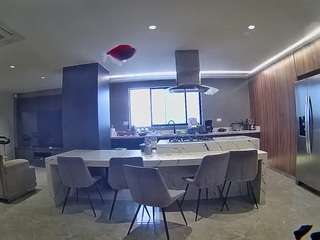 voyeurcam-casa-salsa-fishtank