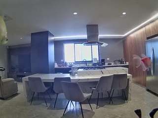 voyeurcam casa salsa fishtank
