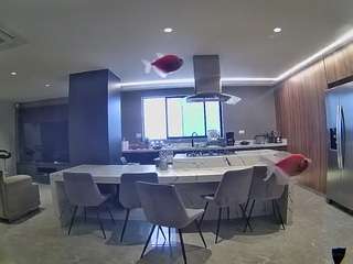 voyeurcam-casa-salsa-fishtank