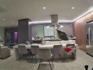 voyeurcam-casa-salsa-fishtank