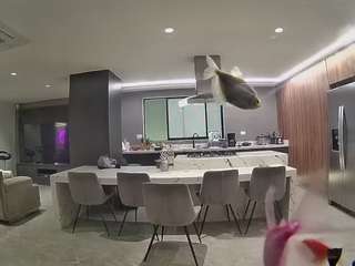 voyeurcam-casa-salsa-fishtank