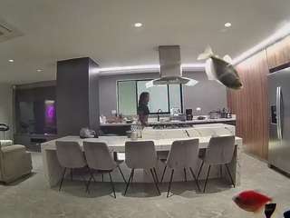 voyeurcam-casa-salsa-fishtank