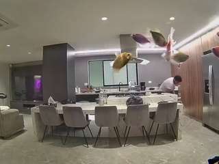 voyeurcam-casa-salsa-fishtank