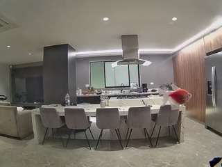 voyeurcam-casa-salsa-fishtank