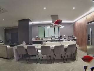 voyeurcam-casa-salsa-fishtank