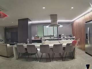 voyeurcam-casa-salsa-fishtank