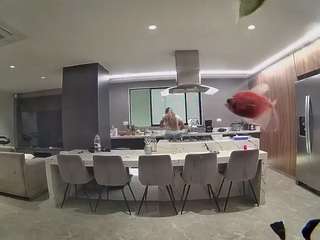 voyeurcam-casa-salsa-fishtank