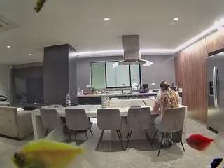 voyeurcam-casa-salsa-fishtank