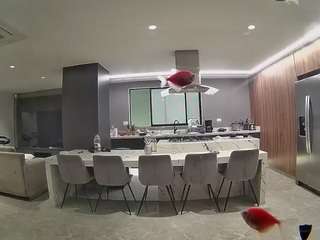 voyeurcam-casa-salsa-fishtank