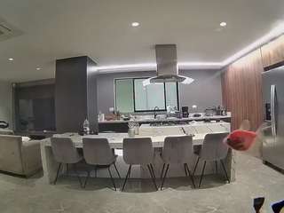 voyeurcam-casa-salsa-fishtank