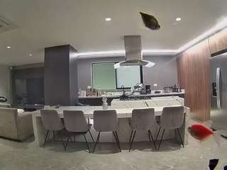 voyeurcam-casa-salsa-fishtank
