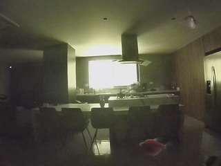 voyeurcam-casa-salsa-fishtank