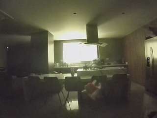 voyeurcam-casa-salsa-fishtank
