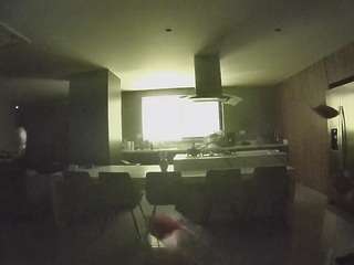 voyeurcam-casa-salsa-fishtank