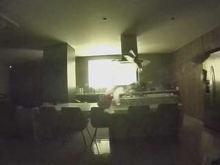voyeurcam-casa-salsa-fishtank