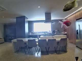 voyeurcam-casa-salsa-fishtank Live Webcam on CamSoda