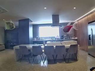 voyeurcam-casa-salsa-fishtank