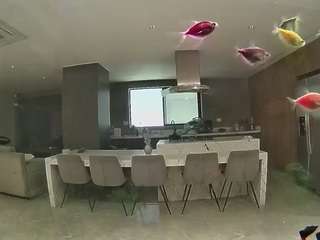 voyeurcam-casa-salsa-fishtank